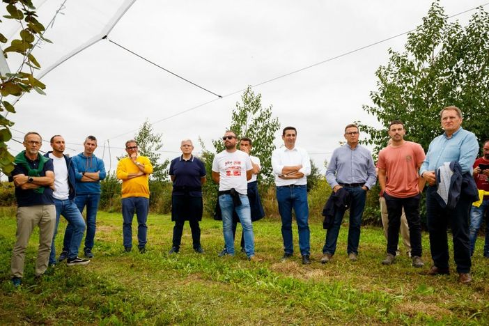 Kiwi giallo Haegeum e nuove pesche resistenti alla sharka: a Lagnasco si parla del futuro della frutticoltura piemontese