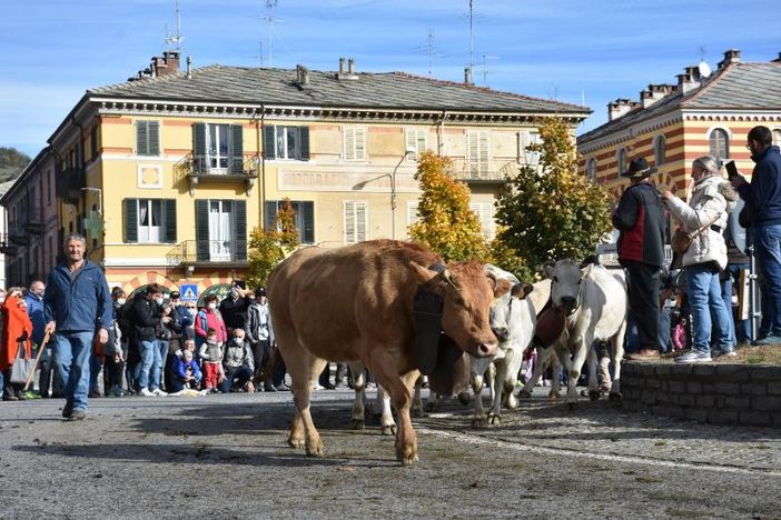 Luserna San Giovanni attende la carica dei 4 mila e adegua il percorso Luserna San Giovanni attende la carica dei 4 mila e adegua il percorso