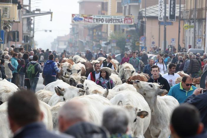 Il Covid interrompe una tradizione di 700 anni: Luserna San Giovanni cancella la Fiera dei Santi