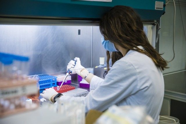 ricercatori molinette - foto d'archivio ricercatori molinette - foto d'archivio