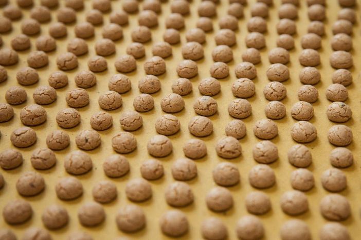 Fonte Archivio Storico dei Produttori Nocciolini di Chivasso Fonte Archivio Storico dei Produttori Nocciolini di Chivasso