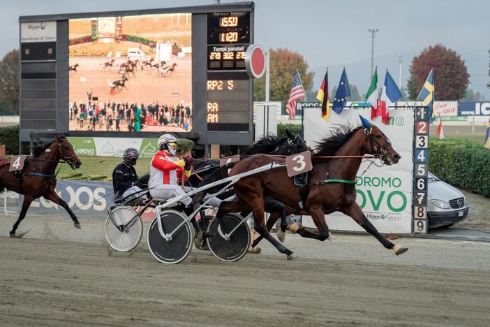 Ippica e ciclismo 'corrono assieme' all'ippodromo di Vinovo Ippica e ciclismo 'corrono assieme' all'ippodromo di Vinovo