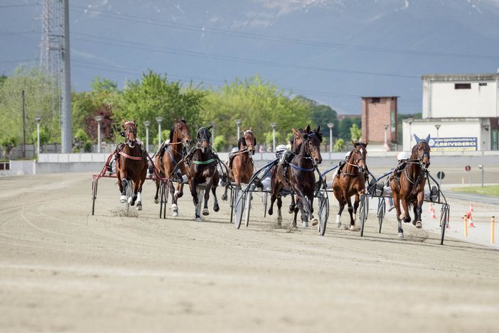 Domenica anche l'ippodromo di Vinovo ricorda il Grande Torino Domenica anche l'ippodromo di Vinovo ricorda il Grande Torino