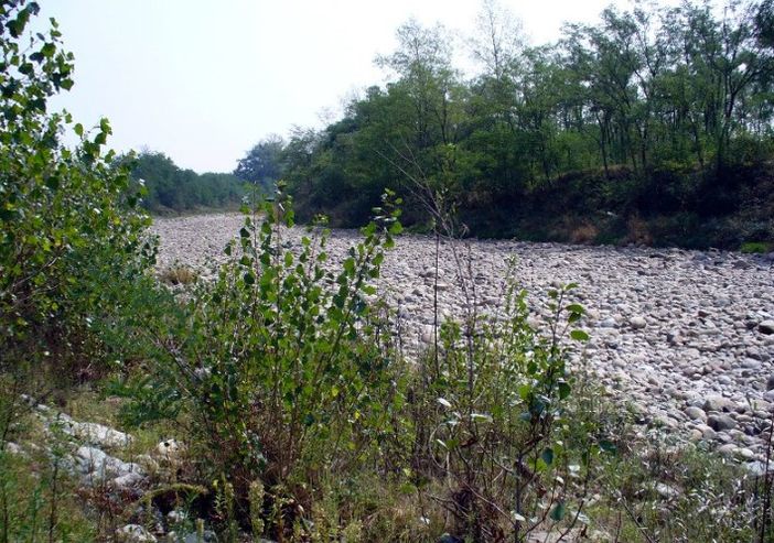 foto di archivio e matteo marnati foto di archivio e matteo marnati