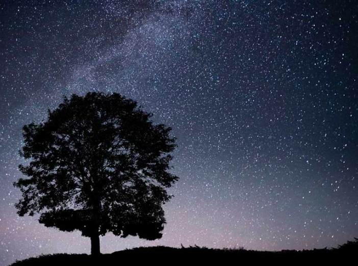 Notte di San Lorenzo: ecco dove vedere le stelle ed esprimere i propri desideri Notte di San Lorenzo: ecco dove vedere le stelle ed esprimere i propri desideri