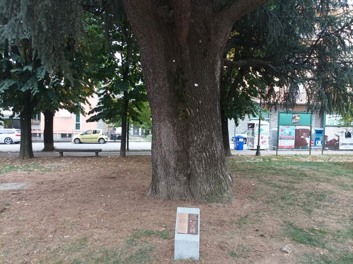 La targa davanti al cedro piantato da Nora Pons