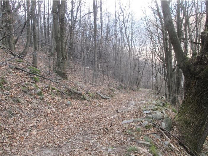 Un tratto della futura ‘Via dei pastori’ Un tratto della futura ‘Via dei pastori’