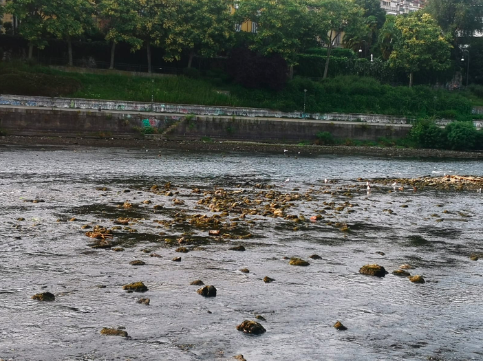 po in siccità - foto d'archivio