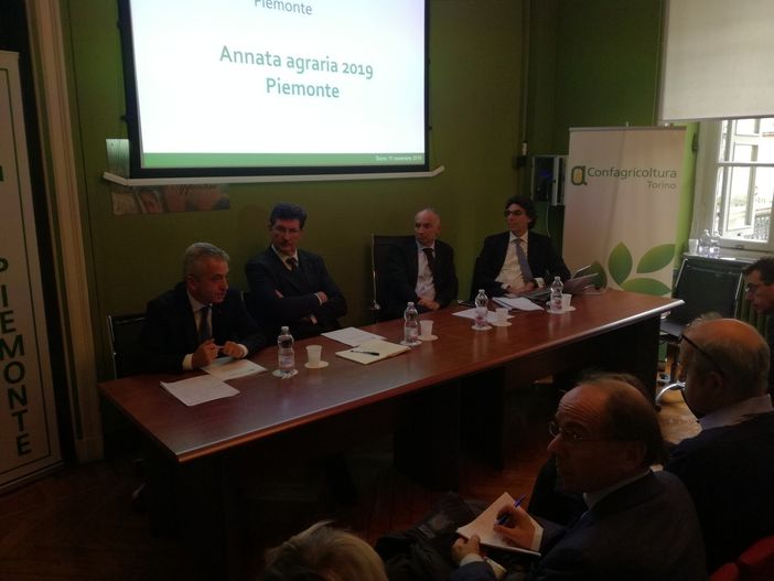 Annata Agraria 2019: il clima ha colpito la quantità, ma non la qualità, nonostante l'inverno più caldo da 62 anni Annata Agraria 2019: il clima ha colpito la quantità, ma non la qualità, nonostante l'inverno più caldo da 62 anni