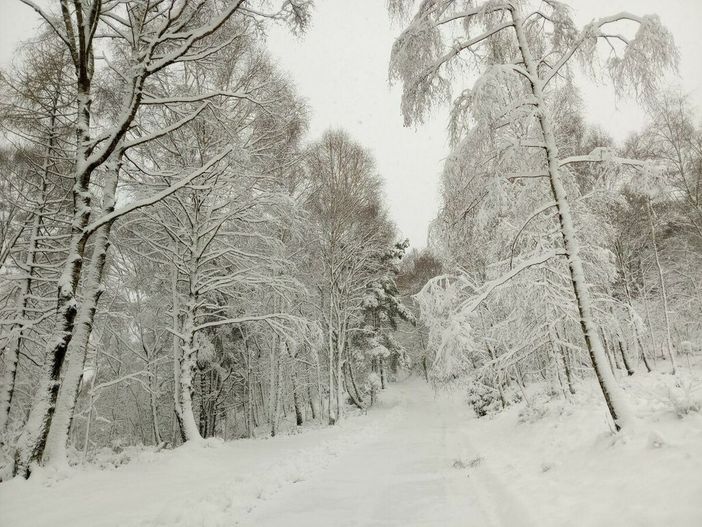 Meteo: continua il freddo e vento sulle pianure, neve sulle Alpi Meteo: continua il freddo e vento sulle pianure, neve sulle Alpi