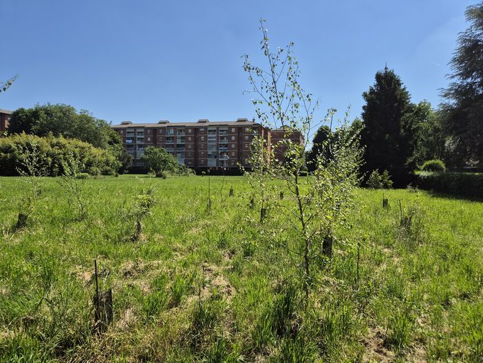Il pericolo dell’estinzione e le storia di Umanimali al Bosco Urbano Partecipato di Pinerolo Il pericolo dell’estinzione e le storia di Umanimali al Bosco Urbano Partecipato di Pinerolo