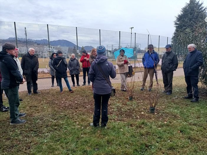 A Pinerolo si celebrano resistenza, speranza e rinnovamento con i ‘Giorni del Calicantus’