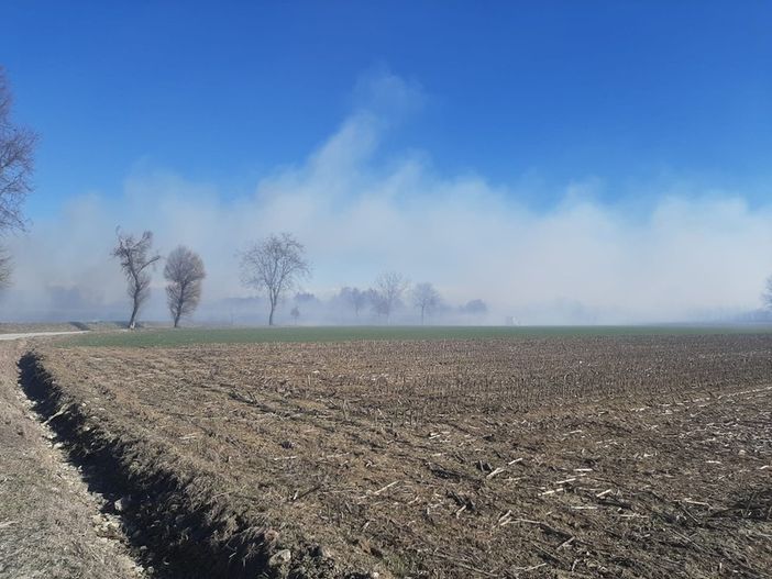 Fiamme spinte da vento e siccità corrono nei campi di mais di Cavour Fiamme spinte da vento e siccità corrono nei campi di mais di Cavour