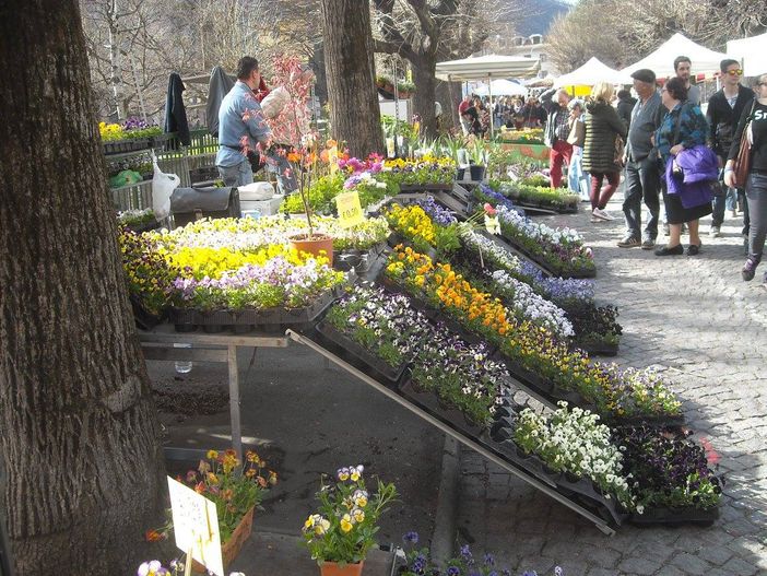 (Foto di repertorio) (Foto di repertorio)