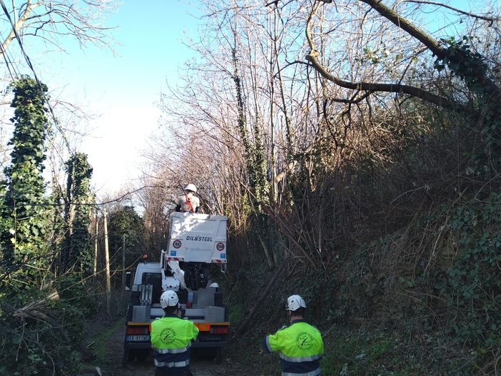 Forti raffiche di vento: 60 interventi nel fine settimana a Pinerolo Forti raffiche di vento: 60 interventi nel fine settimana a Pinerolo