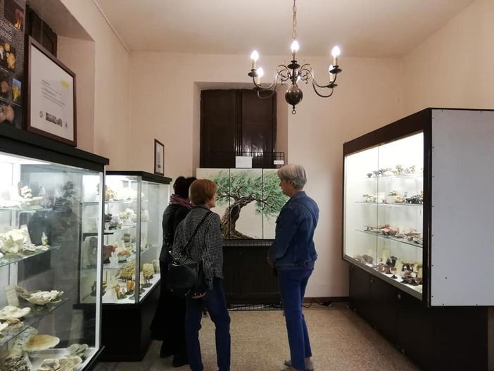 Il Museo di Scienze naturali Strani