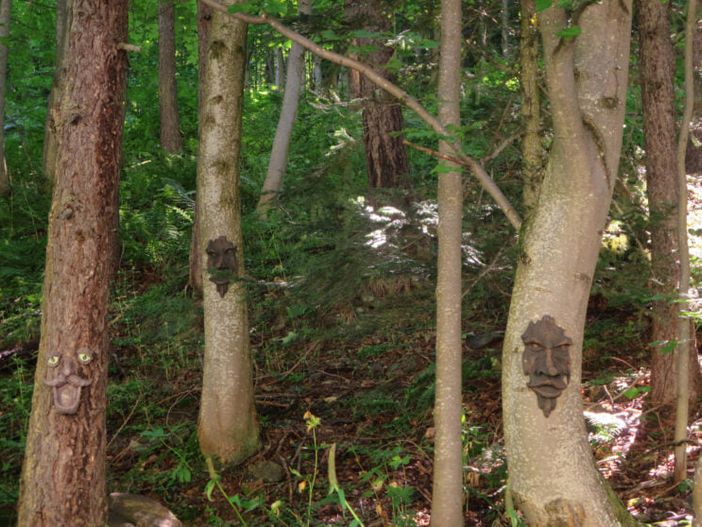 Volti sugli alberi del sentiero dei bambini