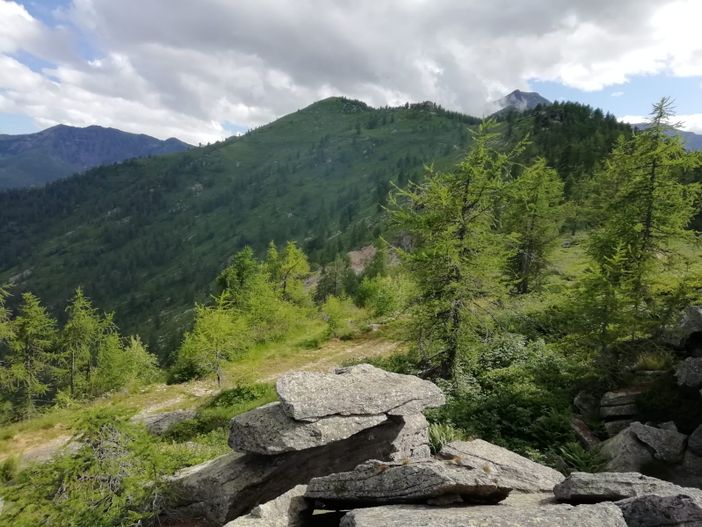 I boschi di Rorà