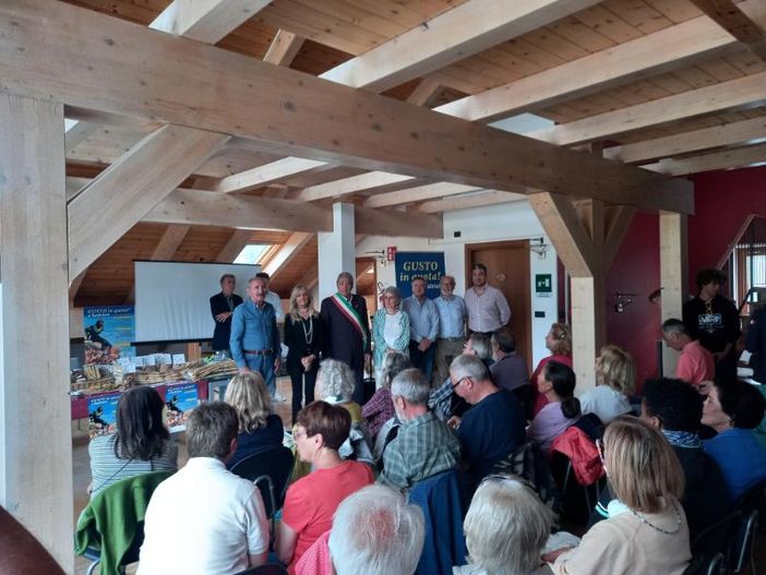 (Foto di repertorio) (Foto di repertorio)