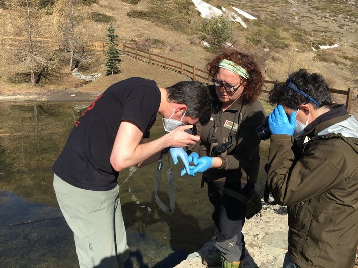 Prelievi al Lago delle Rane di Usseaux