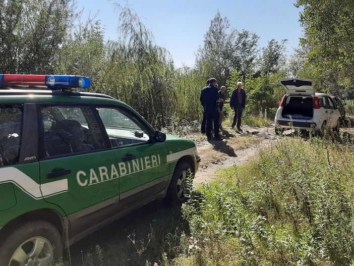 Cane “giustiziato” a Vigone con un fucile nei boschi di Santa Maria (FOTO)