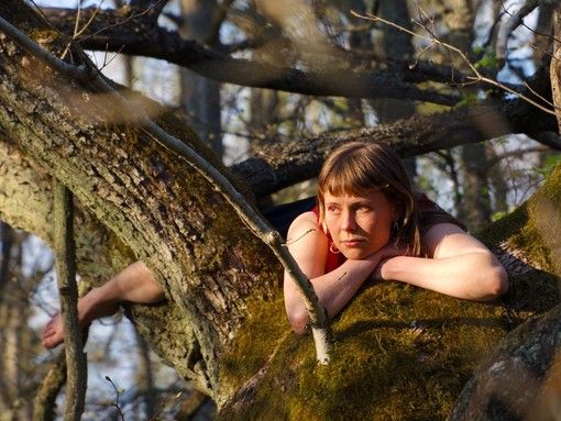 Cinema in alta quota con il Sestriere Film Festival e Cinemambiente in Valchiusella: cosa fare a Torino fino a domenica 3 agosto