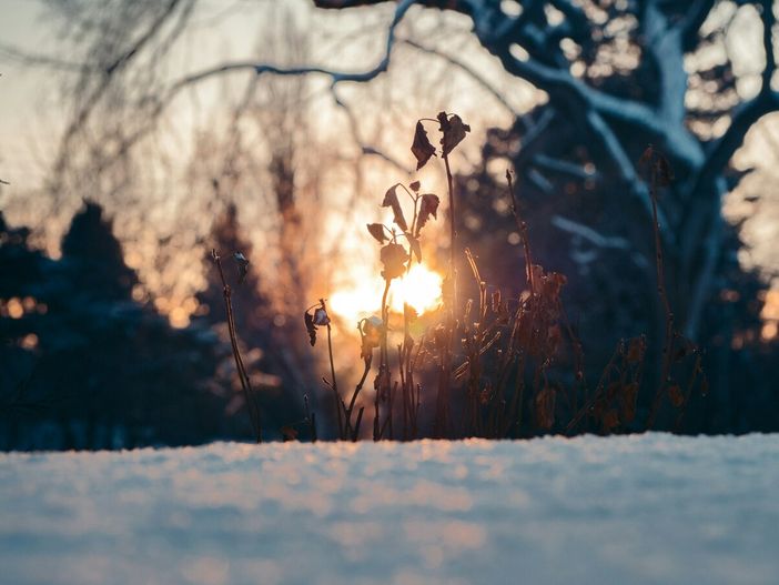 Samuel James - tramite Unsplash