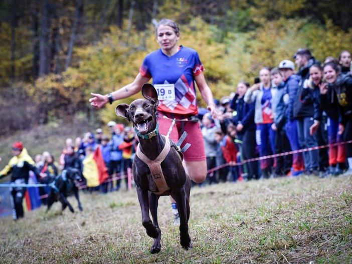Cani e padroni insieme e di corsa all'interno del Parco di Stupinigi