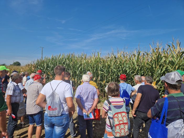 (Foto di repertorio)