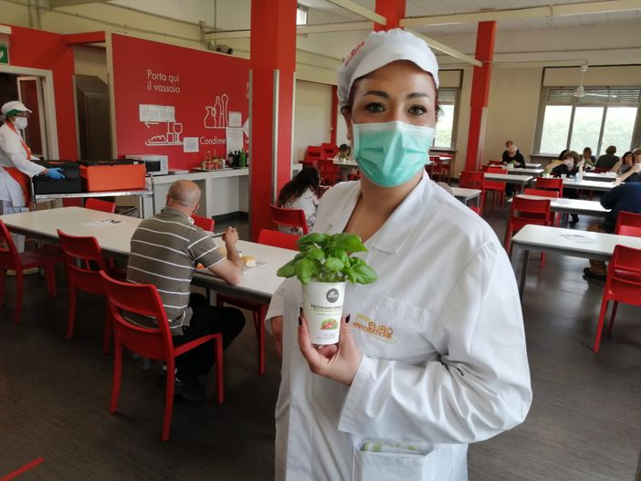 Cinquecento piantine di basilico per i dipendenti degli ospedali di Rivoli, Collegno, Susa e Pinerolo