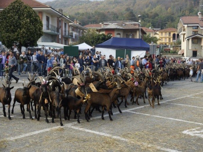 Annullamento XX festa rurale del Cevrin di Coazze