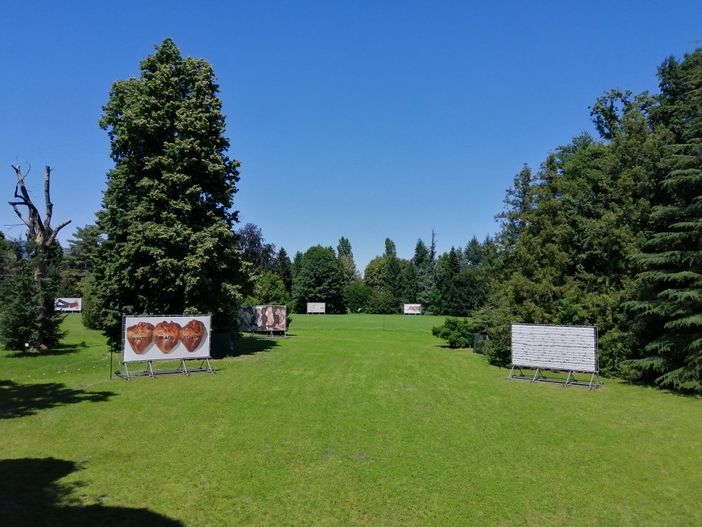 Bellezza tra le righe, domani a Paolo Pejrone al Castello di Miradolo Bellezza tra le righe, domani a Paolo Pejrone al Castello di Miradolo