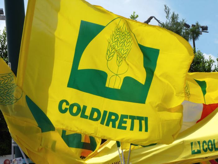 Coldiretti Piemonte lancia il manifesto delle priorità per l'agricoltura in vista delle elezioni Coldiretti Piemonte lancia il manifesto delle priorità per l'agricoltura in vista delle elezioni