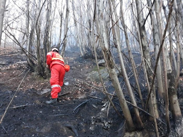 incendi boschivi - foto d'archivio incendi boschivi - foto d'archivio