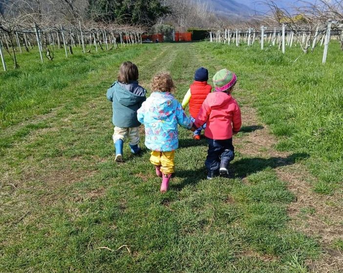 Bambini nei campi de Gli Gnomi dei Kiwi Bambini nei campi de Gli Gnomi dei Kiwi