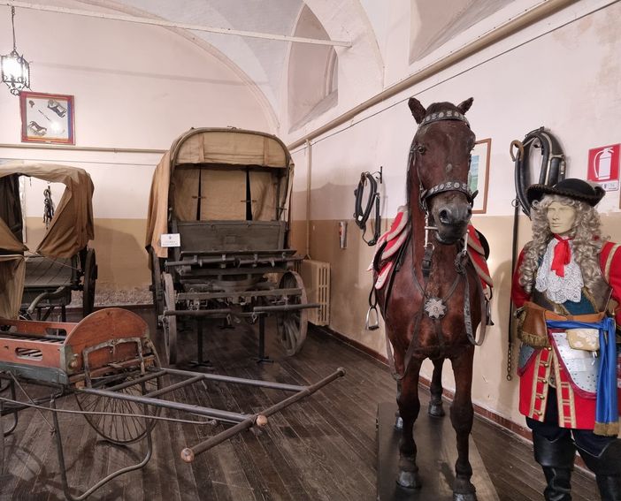 Duecento anni della Scuola di Cavalleria: due giorni di eventi Duecento anni della Scuola di Cavalleria: due giorni di eventi