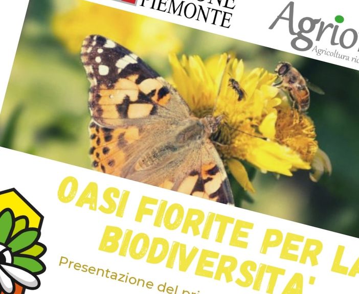 Invito Conferenza Stampa “Oasi fiorite per la biodiversità” Invito Conferenza Stampa “Oasi fiorite per la biodiversità”