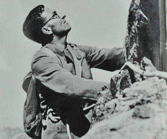 Willi Jervis Willi Jervis