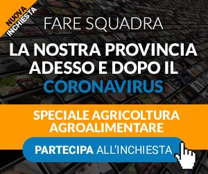 FARE SQUADRA: parte inchiesta su Agricoltura e Agroalimentare, partecipa se lavori nel settore