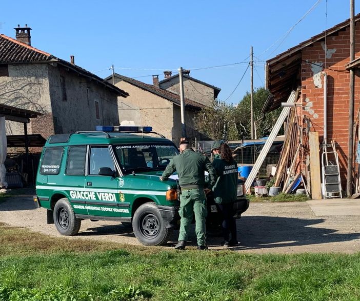 (Foto di repertorio) (Foto di repertorio)