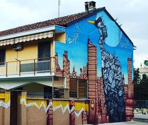 airone cenerino airone cenerino