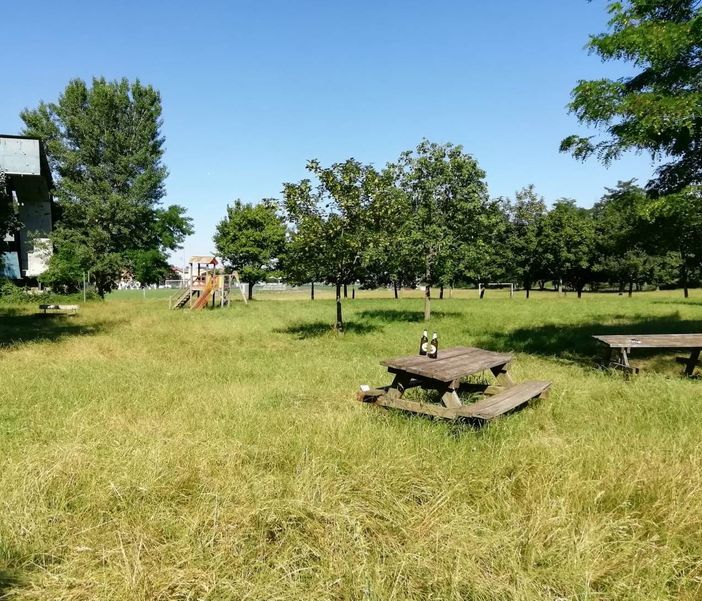 Nuovi arredi per l’area verde sul Pellice semi abbandonata a Luserna San Giovanni