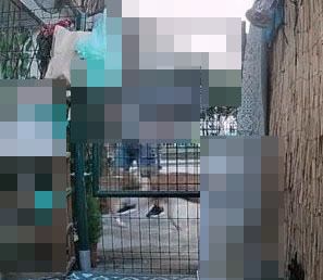 Le immagini delle telecamere la mattina prima del fatto Le immagini delle telecamere la mattina prima del fatto