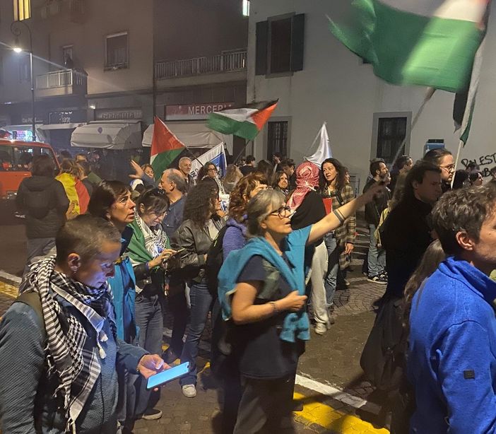 La manifestazione a Udine