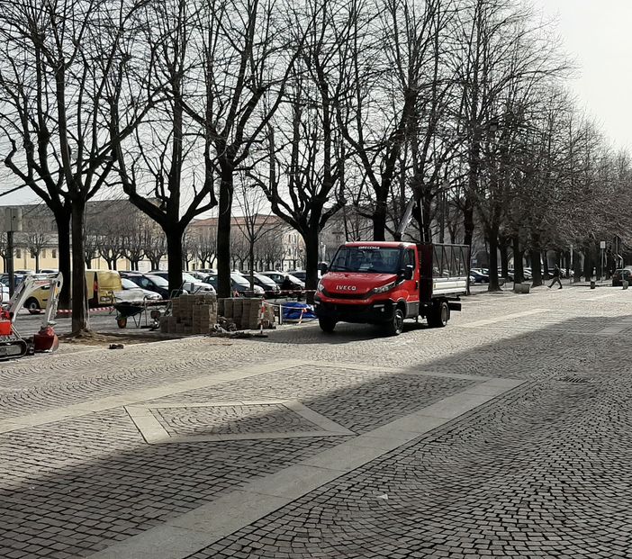 Il Comune di Pinerolo cura le piante di piazza Vittorio Veneto che “faticano a respirare”
