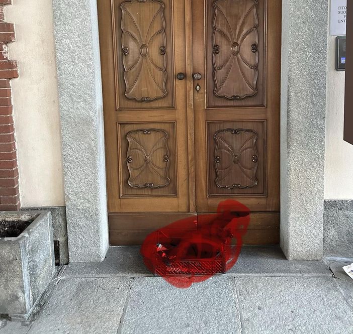 Il gatto ritrovato davanti alla porta del municipio