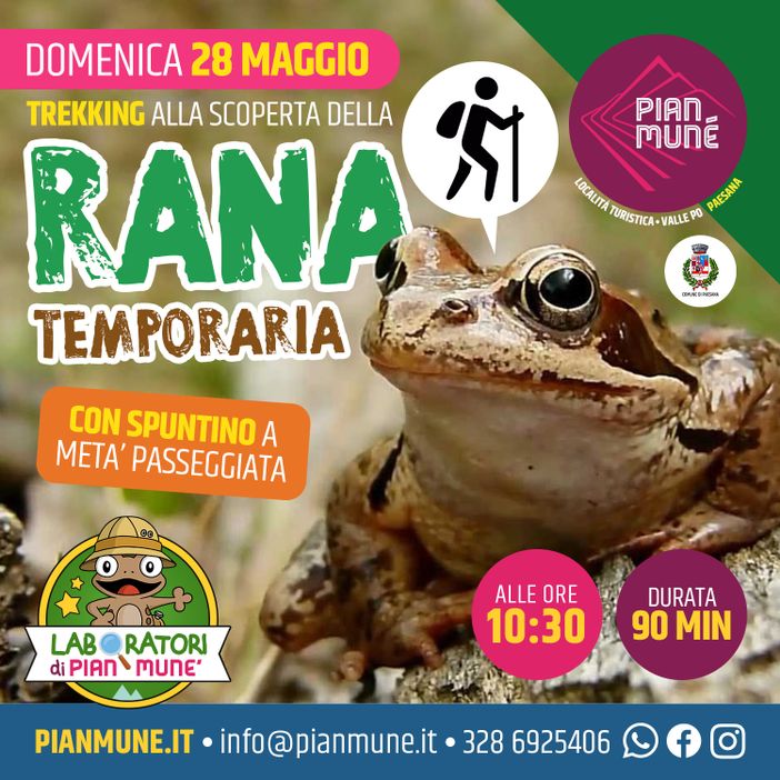 Pian Munè di Paesana: passeggiata alla scoperta della rana temporaria Pian Munè di Paesana: passeggiata alla scoperta della rana temporaria