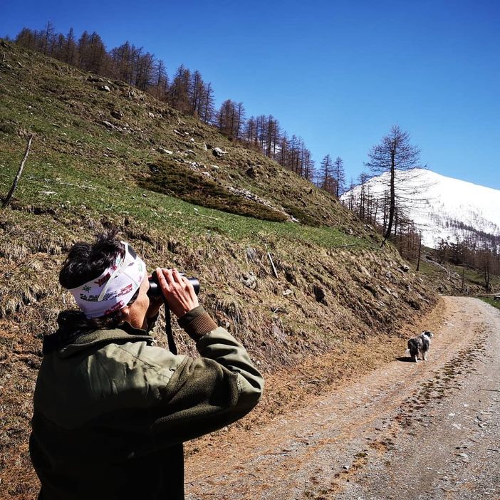 Quarant’anni di parchi nel Pinerolese: i compleanni di Orsiera Rocciavrè e Val Troncea Quarant’anni di parchi nel Pinerolese: i compleanni di Orsiera Rocciavrè e Val Troncea