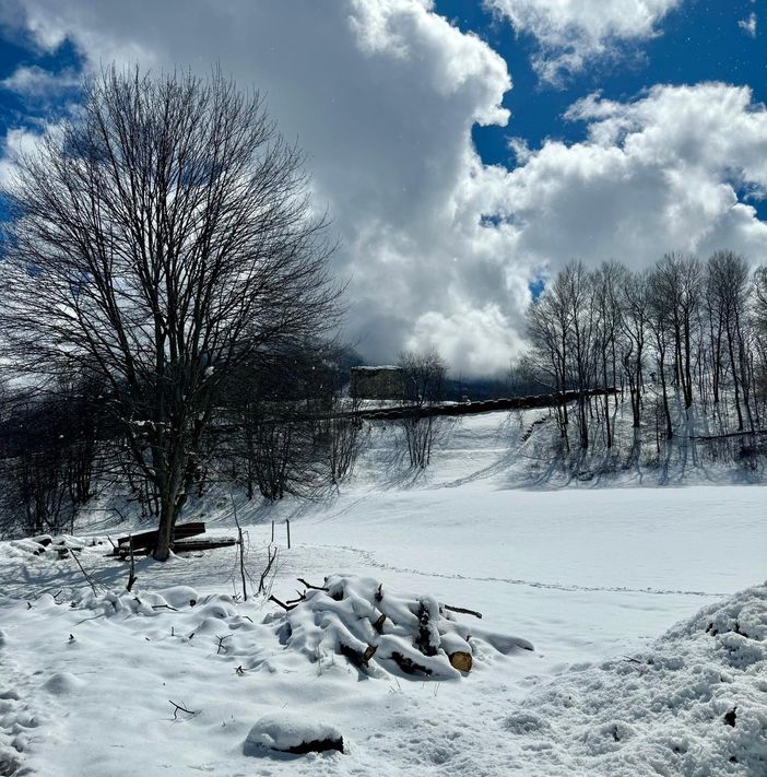 neve in montagna neve in montagna