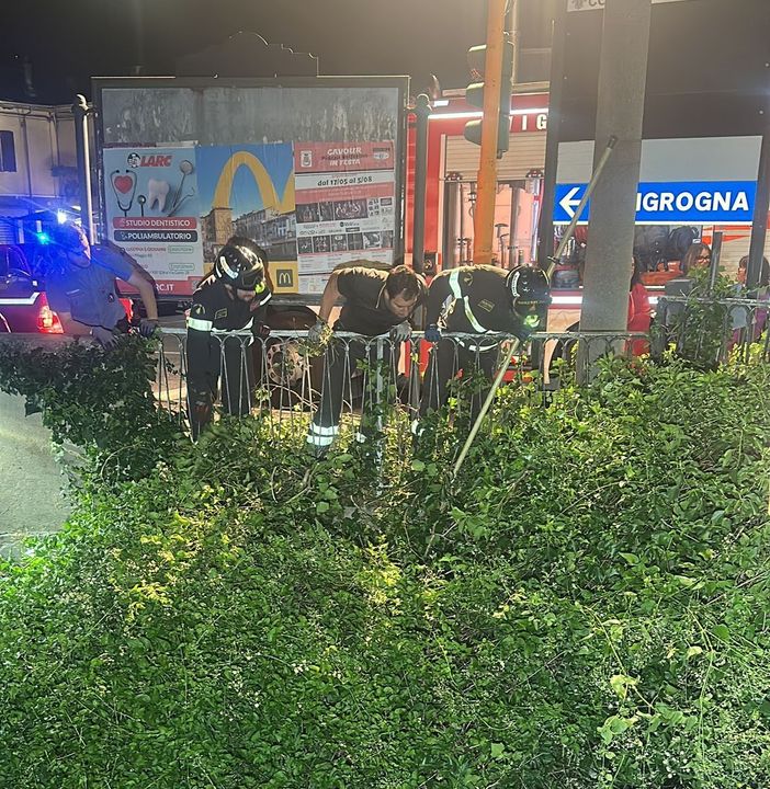 I vigili del fuoco recuperano il gattino